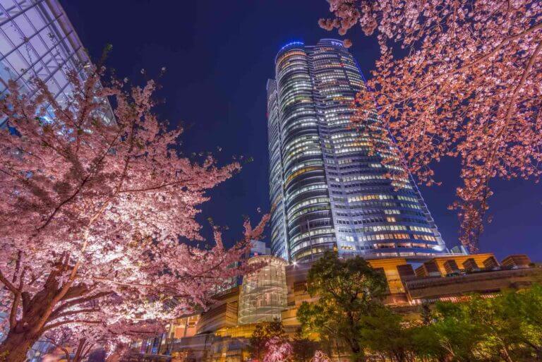 Roppongi