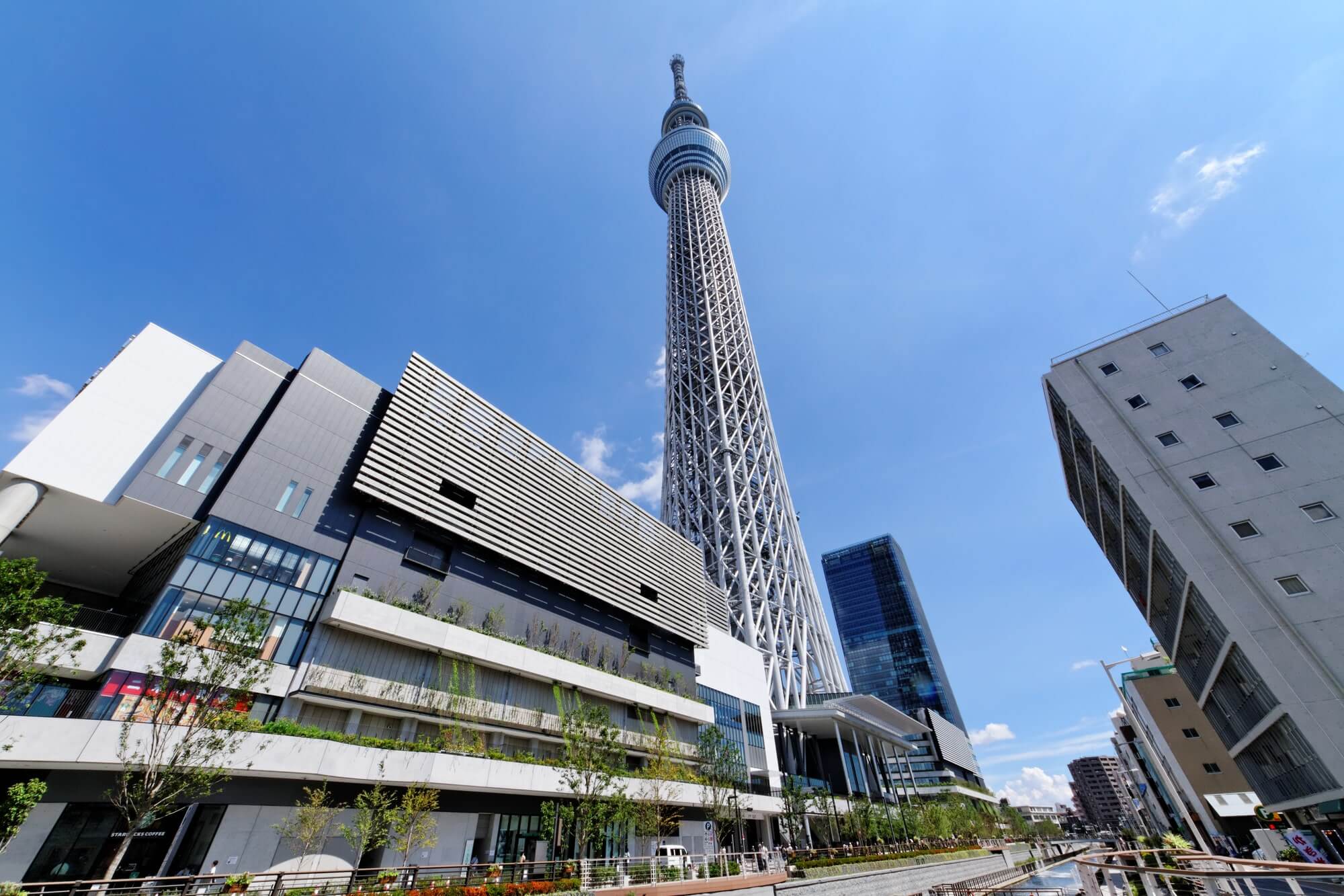 Tokyo Skytree + Best Things To Do In Tokyo