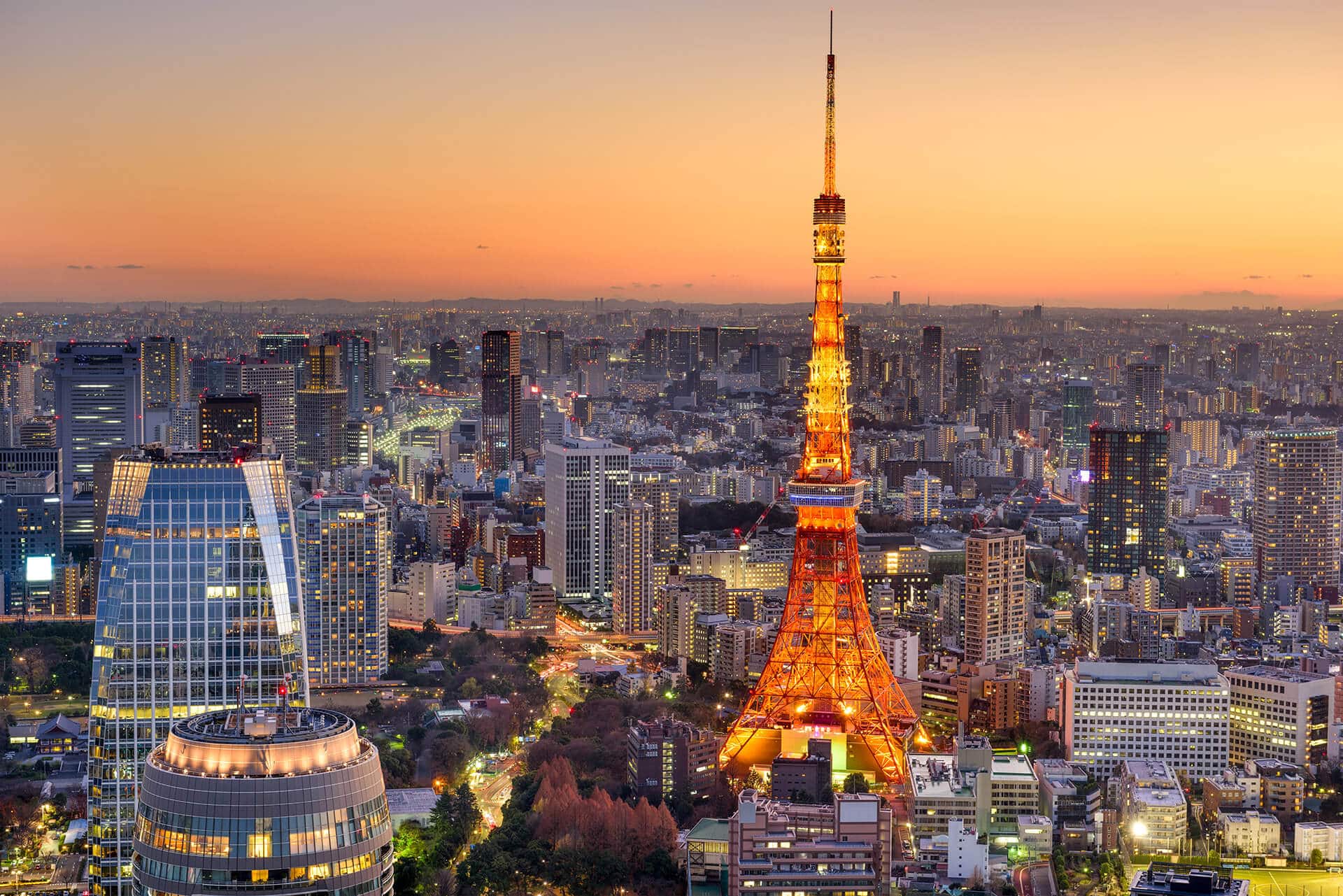 Tokyo Tower glowing at sunset, seen from above during a Kartzilla Go Kart tour in Tokyo