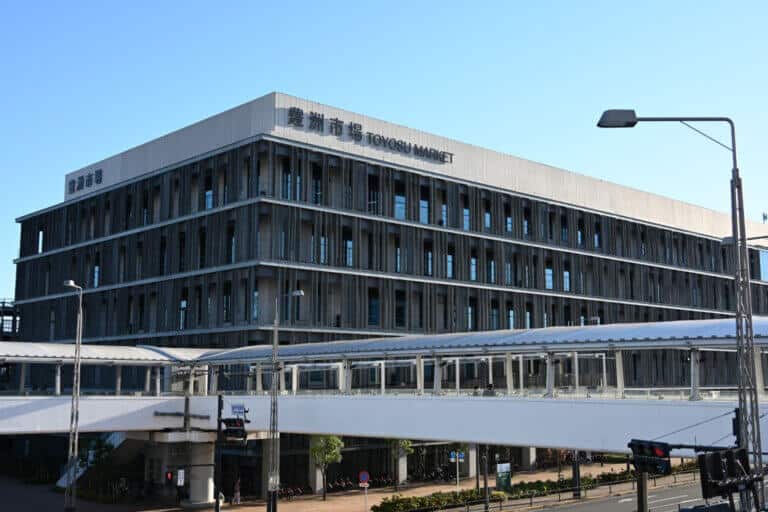 Toyosu Fish Market + Best Tourist Attractions In Tokyo