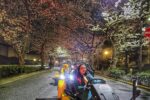 Woman driving a Kartzilla go-kart under illuminated cherry blossoms at night in Tokyo during a Mario Kart style street kart tour.